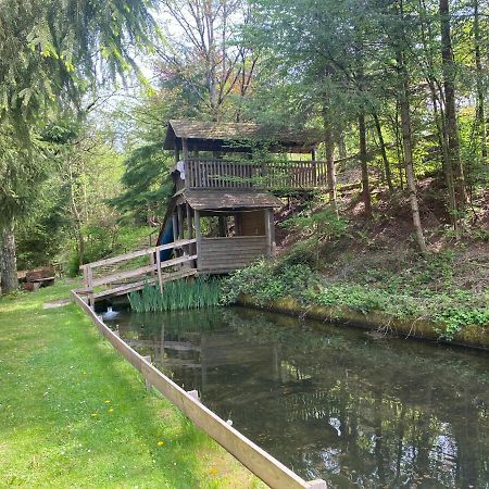 Hotel-Restaurant Theis-Muehle Biersdorf Dış mekan fotoğraf