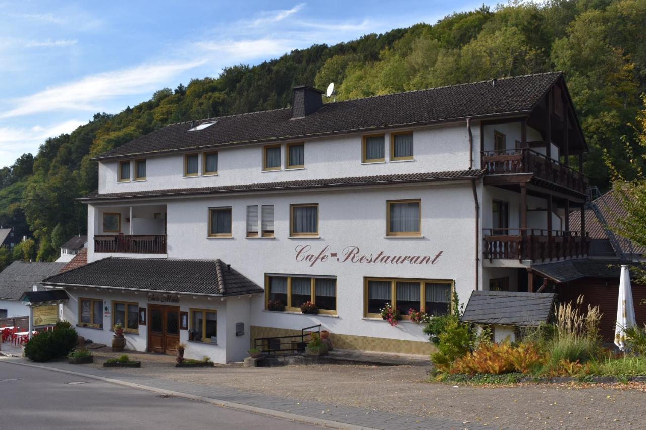 Hotel-Restaurant Theis-Muehle Biersdorf Dış mekan fotoğraf