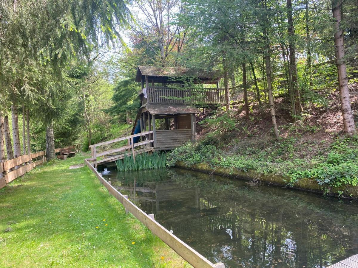 Hotel-Restaurant Theis-Muehle Biersdorf Dış mekan fotoğraf